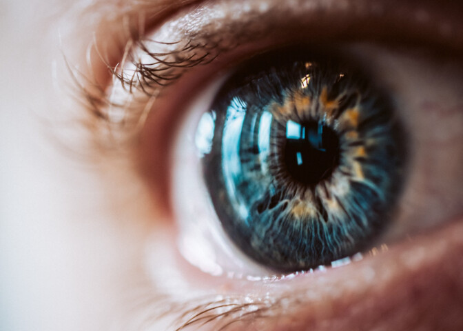 Ineovision